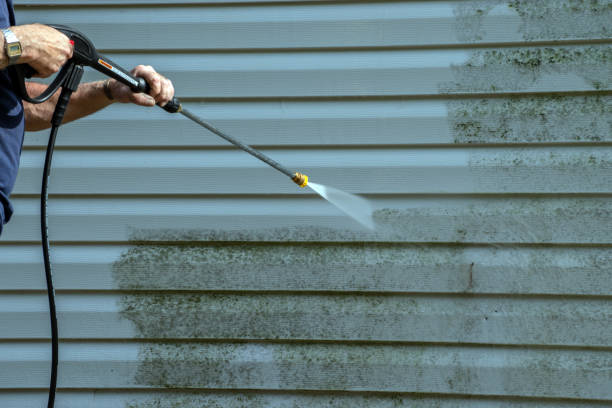 Best Local Pressure Washing Services  in Sebewaing, MI
