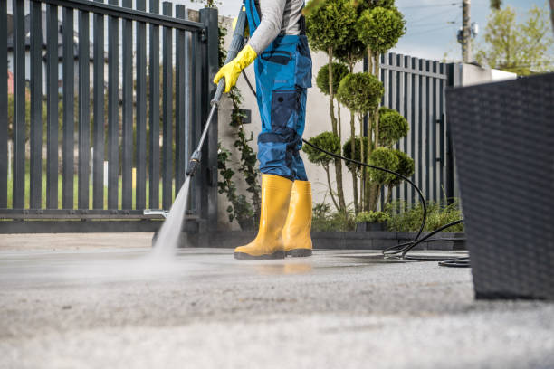 Best Pressure Washing Contractors  in Sebewaing, MI