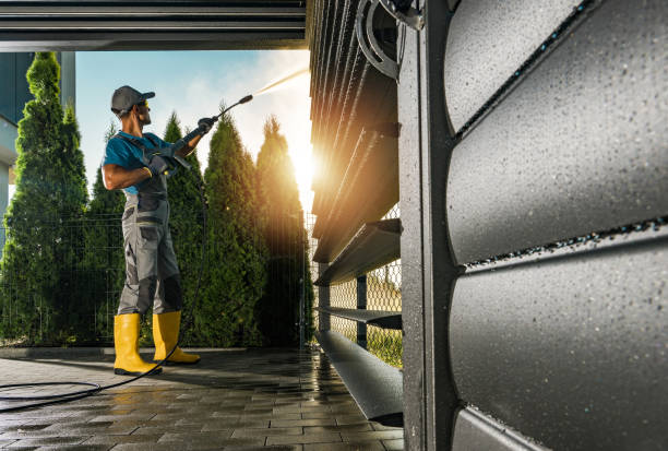 Best Roof Pressure Washing  in Sebewaing, MI