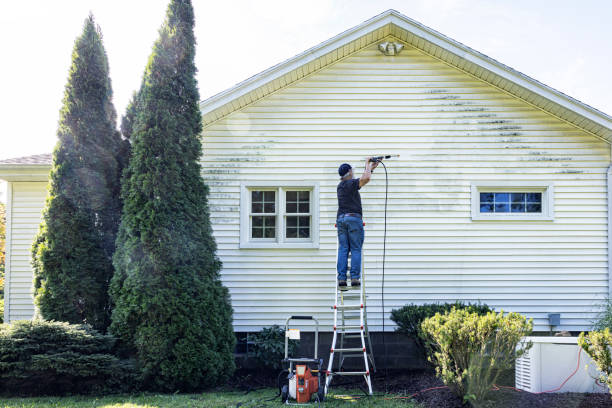 Best Local Pressure Washing Services  in Sebewaing, MI