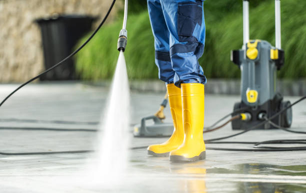 Best Roof Power Washing Services  in Sebewaing, MI