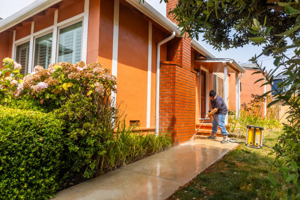Roof Power Washing Services in Sebewaing, MI