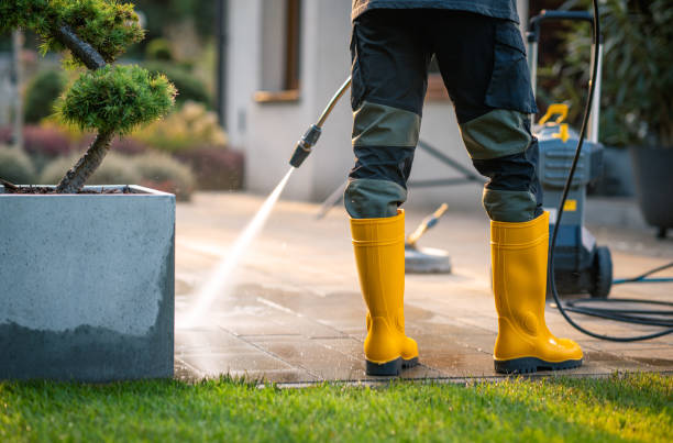 Best Commercial Building Pressure Washing  in Sebewaing, MI